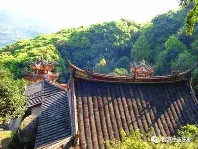 “永春最想去的地方”投票开始啦