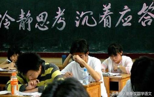 2017年普通高等学校招生全国统一考试 语文（北京卷）