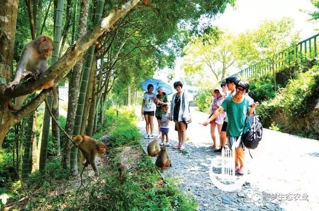 “永春最想去的地方”投票开始啦