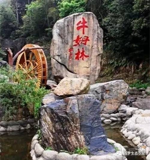 “永春最想去的地方”投票开始啦