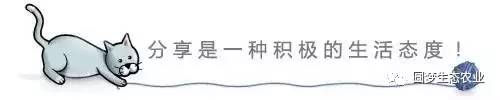 “永春最想去的地方”投票开始啦