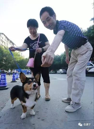 高考首日！2017遂宁高考现场有这些暖心故事！考生们，加油！