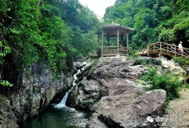 “永春最想去的地方”投票开始啦