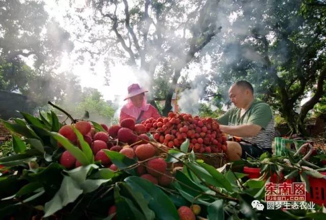 “永春最想去的地方”投票开始啦