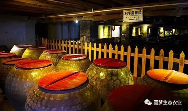 “永春最想去的地方”投票开始啦