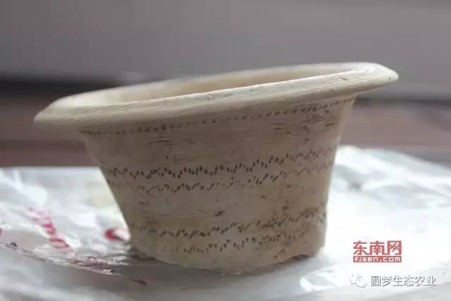 “永春最想去的地方”投票开始啦
