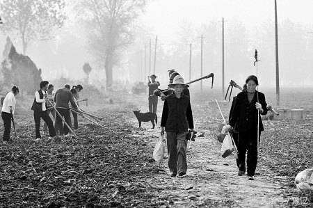 高考40年：五个不同年代河南考生的亲身经历 | 豫记