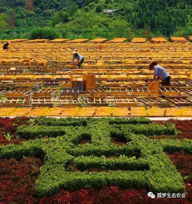 “永春最想去的地方”投票开始啦
