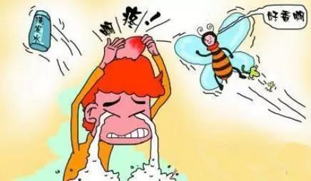 救急手册：被蜜蜂蛰了怎么办？