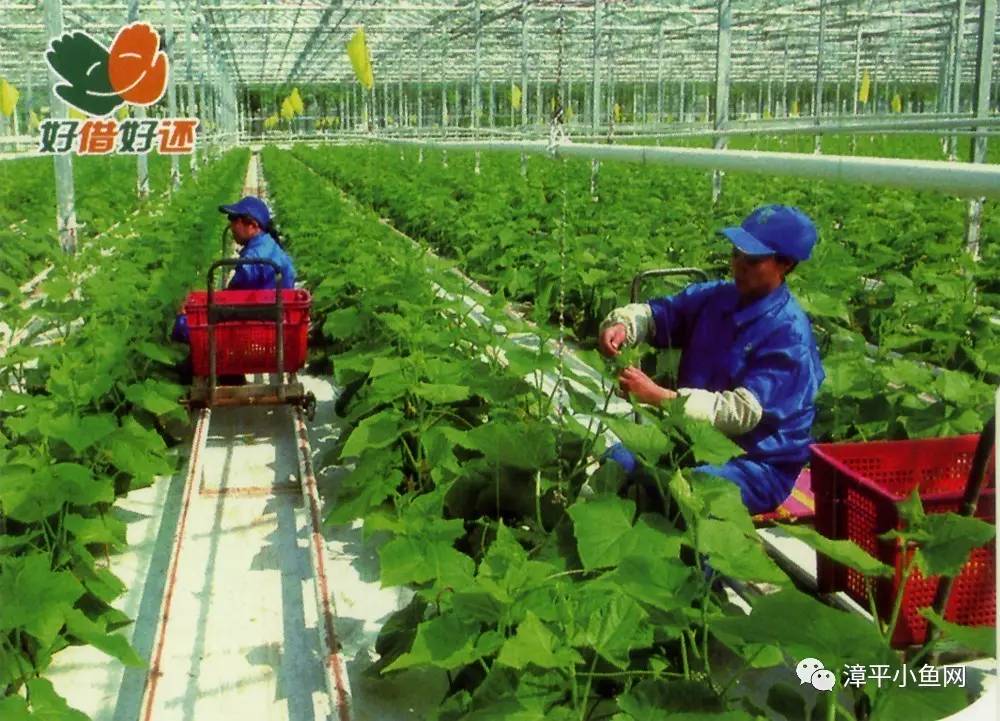 邮储银行小额担保贷款，可循环使用3年，利率优惠至8厘多