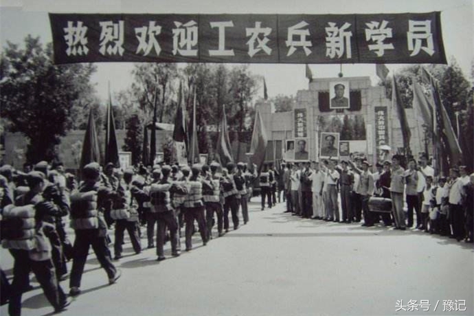 高考40年：五个不同年代河南考生的亲身经历 | 豫记