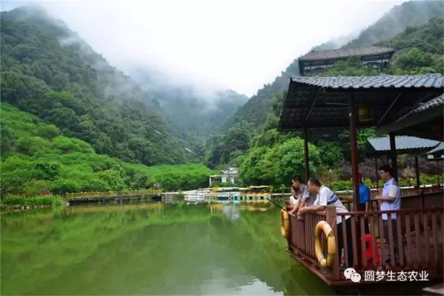 “永春最想去的地方”投票开始啦