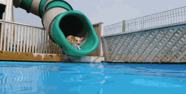 夏日避暑必备！这可能是上海最全的玩水地图了！