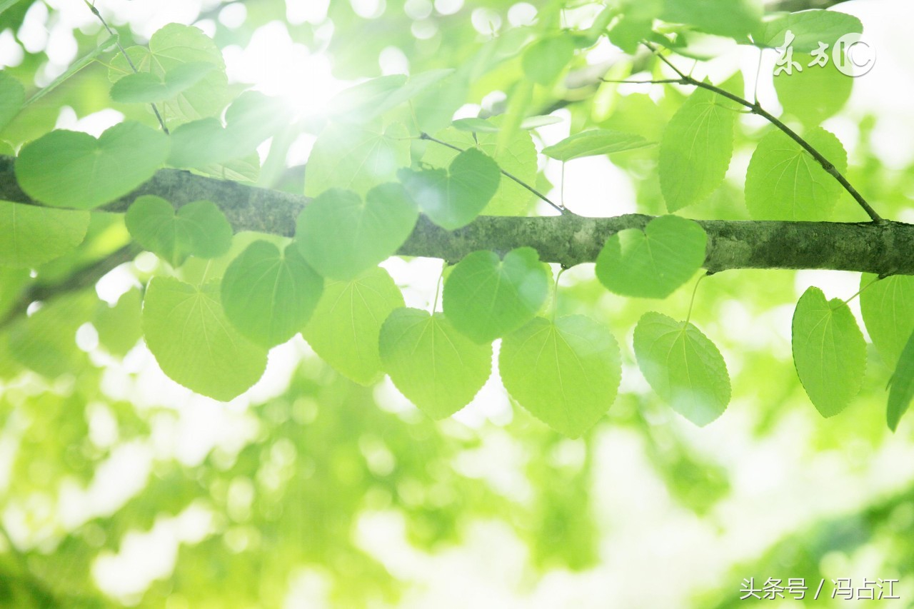 高清版：2017年江苏高考英语试题