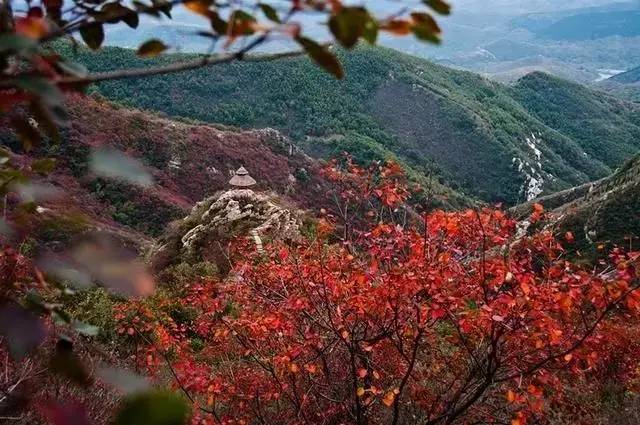 許昌大鴻寨風景區門票_許昌大鴻寨風景區圖片 - 密雲旅遊