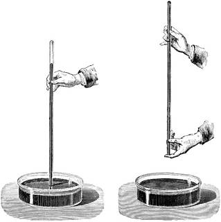 玻璃管里灌满水银,将管口堵住,然后倒插在水银槽中放开堵管口的手指后