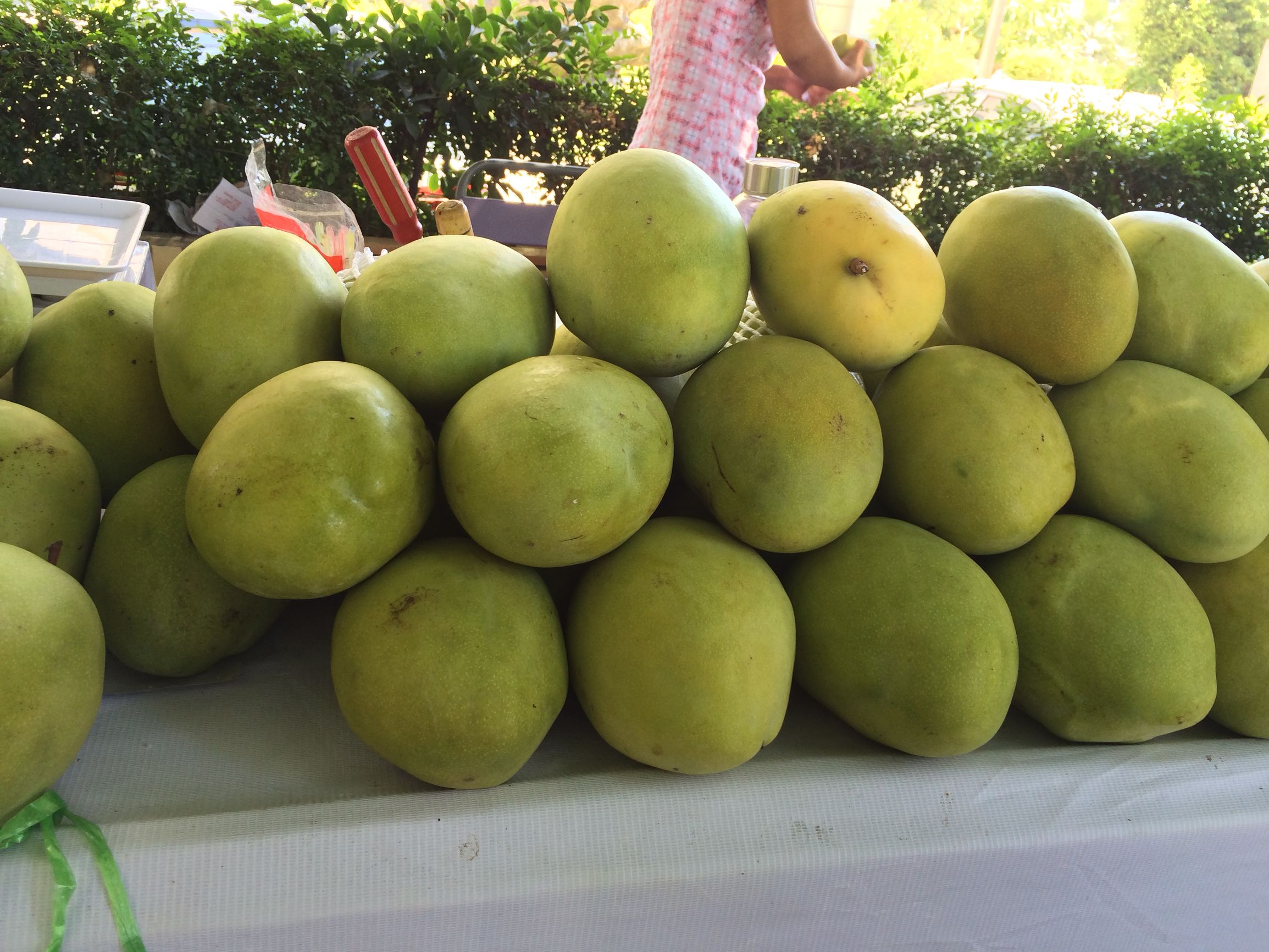 趁高考成绩还没发布，去厦门看看夏至未至取景地