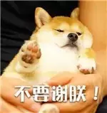 网红chizza吃了还不够？霸都这十家披萨总有一款能够满足你！