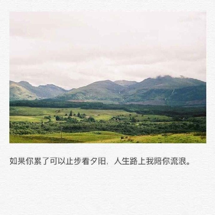 宽容待人：八句智慧箴言，教会你如何放下执念与强求