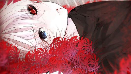 动漫推荐—暗黑系