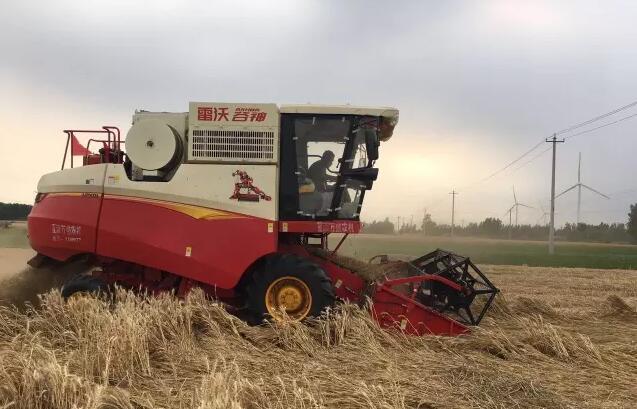 雷沃谷神GM80谷物聯(lián)合收割機(jī)一機(jī)多用，全能收割