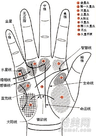 手相秘术，知福知财