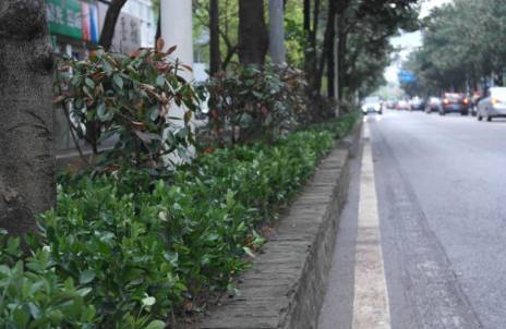 关于全国I卷高考地理第一题的疑问