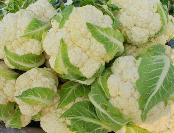 花菜在冰箱能放几天 花菜的家常保存方法有哪些