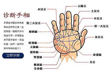 手相秘术，知福知财