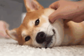 2017全国高校暑期时长排行榜！上海某高校放111天！