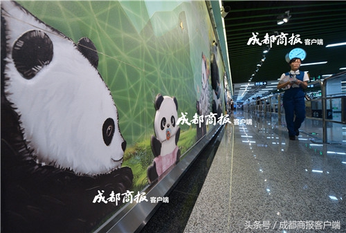 早点新闻│重磅！2017四川高考文理科第一名都是女学霸，深夜受访金句频出