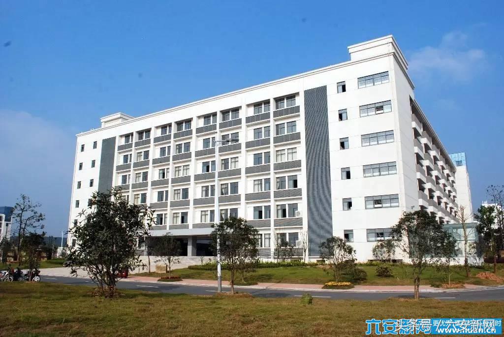 六安这几所知名高中高考成绩大PK 谁强谁弱大家看