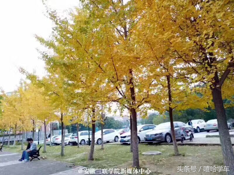 安徽三联学院迎来20年华诞（1997-2017）！