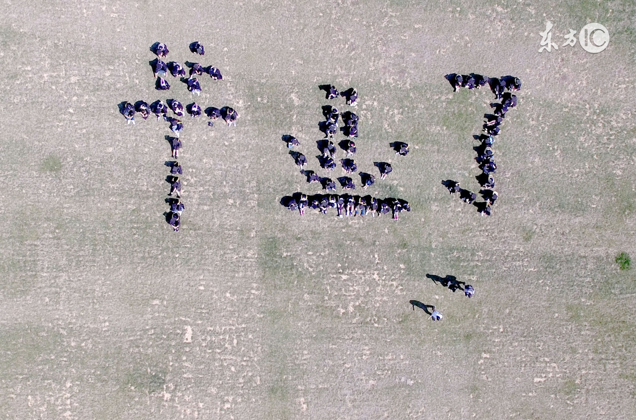 大学四年，这总结太深刻