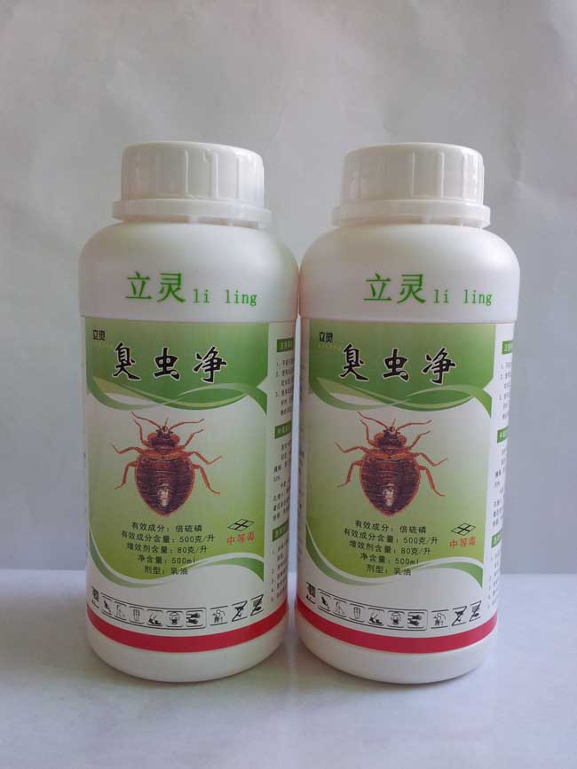 臭蟲防治,臭蟲防治什么藥最管用