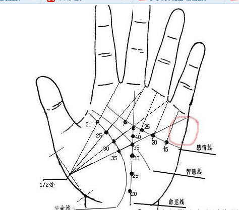 双感情线这种手相的人，头胎必定是龙凤胎，注定儿女双全