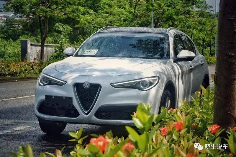 并不是所有人都喜欢意大利面 试驾阿尔法·罗密欧-Stelvio