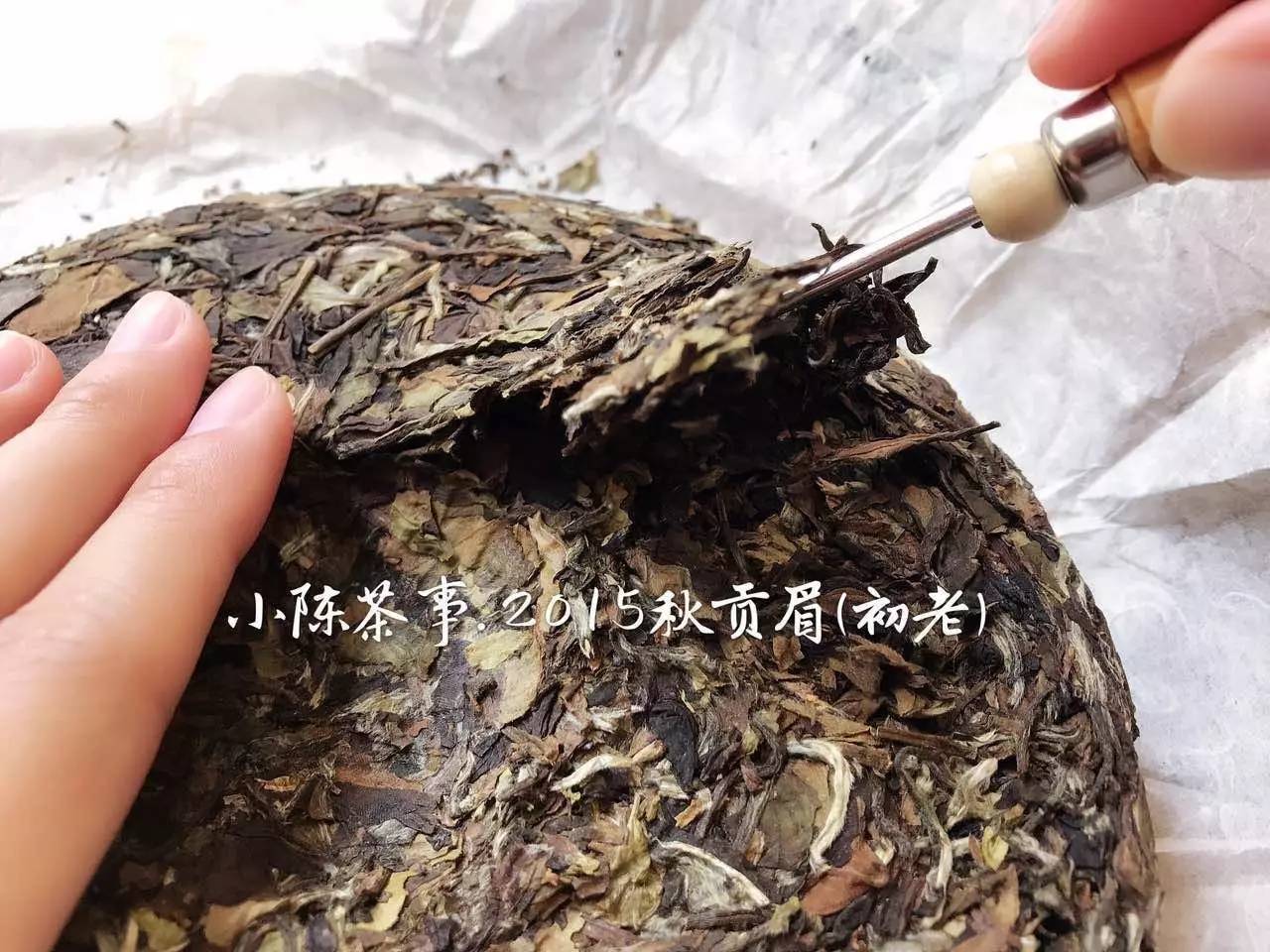 人生若只如初见，一入白茶深似海！