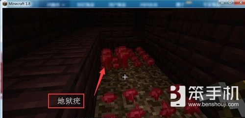 我的世界夜视药水怎么做 夜视必备药水合成方法