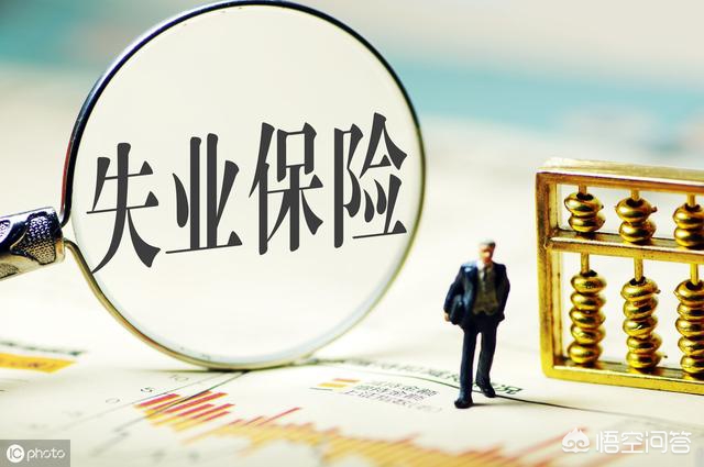 2020年，我失业了，每月领失业金1719元，失业期间这些权益请收藏