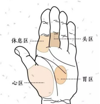 涨姿势！生命线越长寿命越长是真的吗？