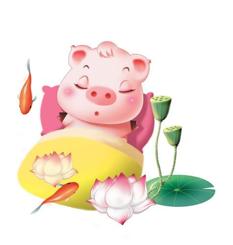 属猪的人出生在这个时辰,既有幸福又有辛酸坎坷!