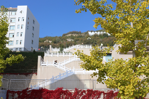 高考资讯：2017年兰州资源环境职业技术学院陕西省定向培养士官预录取名单公示