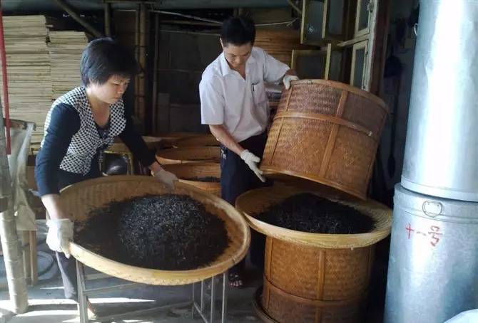 茶能醉客何须酒，自在清新柚花香