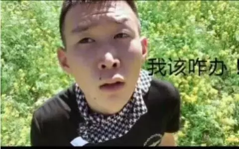 知错能改善莫大焉！小白龙首次发表书面道歉，诚恳地请求利哥原谅自己，再给自己一次改错的机会