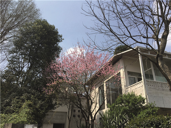 2017年艺术区调查报告