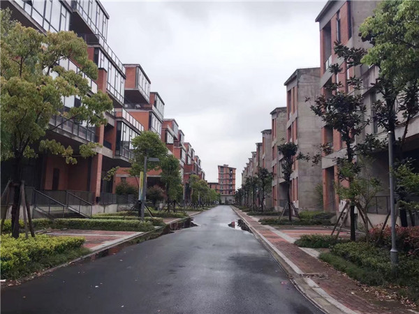 2017年艺术区调查报告