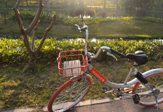 活动｜广州人都很少知道的花市，骑行野餐都合适！
