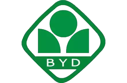 深圳亚迪学校全解析，这匹名校黑马为何脱颖而出