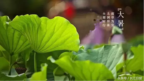 7月22日早安武汉︱湖北高招一本录取信息今日可查询；孩子们最爱的戏曲夏令营又能报名了